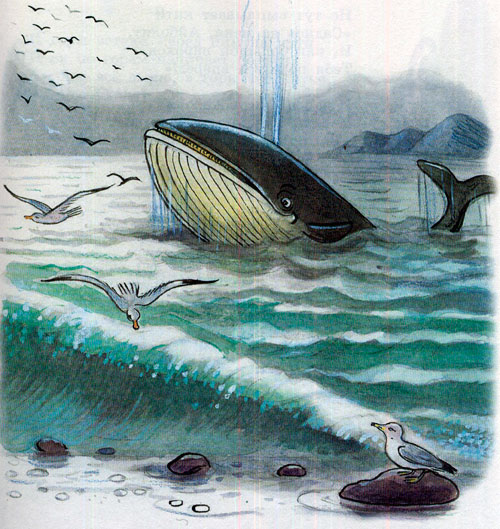 Айболит и кит.